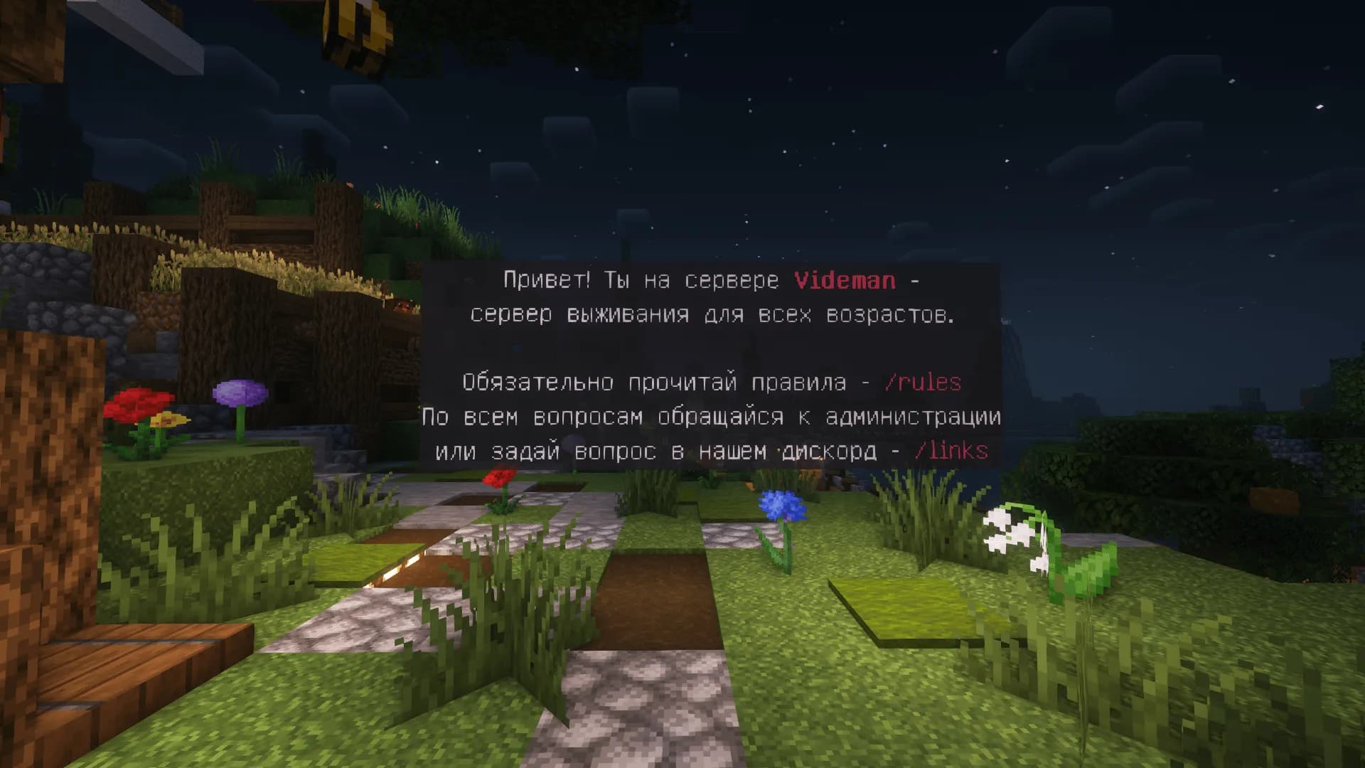 Videman