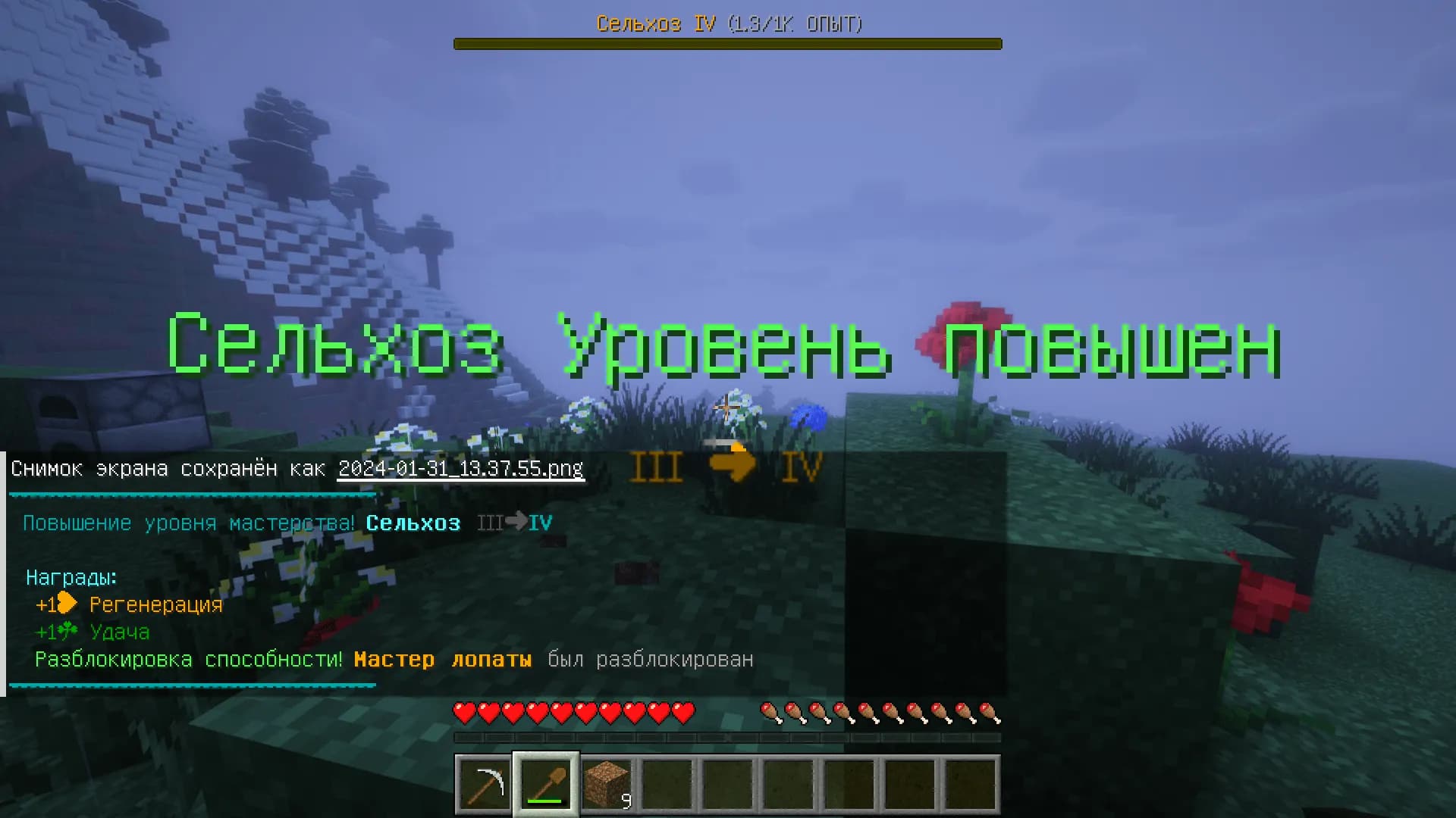 Videman